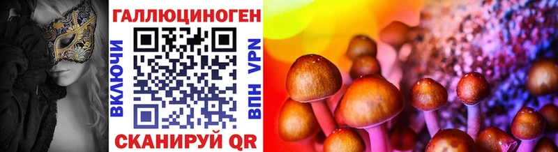 blacksprut наркошоп Инта Галлюциногенные грибы Psilocybe